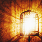 בין שני מאורות