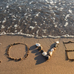 אוסף החרפות