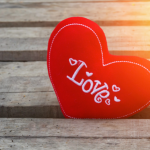 שורש כל האהבות