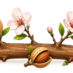  מטה אהרן פורח – ומה איתנו?